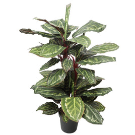 Artificial Wide Leaf Cordyline Plant 90cm Kings Warehouse 