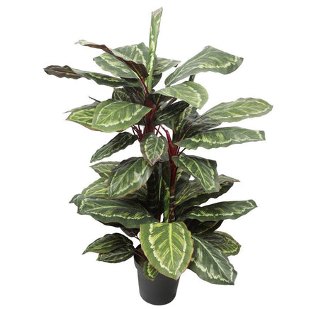 Artificial Wide Leaf Cordyline Plant 90cm Kings Warehouse 
