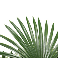 Artificial Wide Leaf Fan Palm Tree 90cm Kings Warehouse 