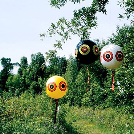 Bird Repellent Predator Eyes Balloons, Pack of 3 KingsWarehouse 