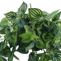 Bright Mixed Philodendron Garland Bush 100cm Kings Warehouse 
