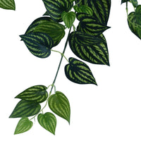Bright Mixed Philodendron Garland Bush 100cm Kings Warehouse 
