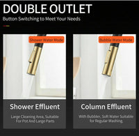 Brushed Gold Spout Matte Black pull out with spray function kitchen mixer tap faucet Kings Warehouse 