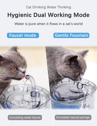 Cat Dog Water Fountain Pet Water Dispenser 1.8L Automatic Drinking Fountain for Cats Kitty Indoor Kings Warehouse 