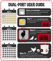 Cheeky Chooka Dual Chick Feeder Port Kit Kings Warehouse 