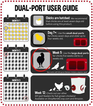 Cheeky Chooka Dual Chick Feeder Port Kit Kings Warehouse 