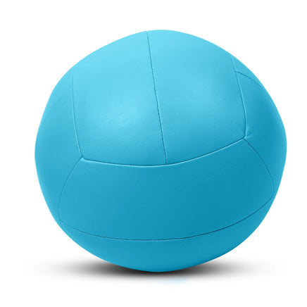 CORTEX 6kg Wall Ball Kings Warehouse 