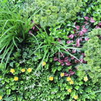 Country Fern Vertical Garden Green Wall UV Resistant 100cm x 100cm New Arrivals Kings Warehouse 