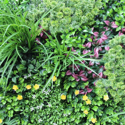 Country Fern Vertical Garden Green Wall UV Resistant 100cm x 100cm New Arrivals Kings Warehouse 