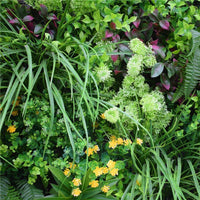 Country Fern Vertical Garden Green Wall UV Resistant 100cm x 100cm New Arrivals Kings Warehouse 