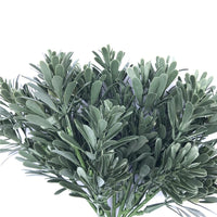 Cypress Bush Plant Stem UV Resistant 25cm Kings Warehouse 