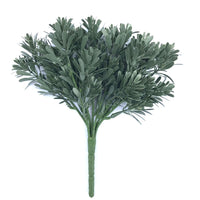 Cypress Bush Plant Stem UV Resistant 25cm Kings Warehouse 