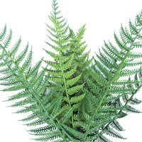 Dark Fern Stem UV Resistant 38cm Kings Warehouse 