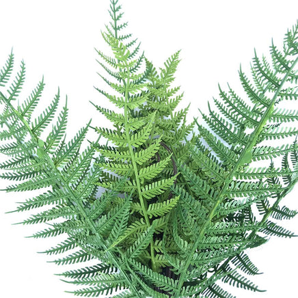 Dark Fern Stem UV Resistant 38cm Kings Warehouse 