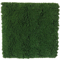 Dark Natural Green Artificial Moss / Green Wall UV Resistant 1m x 1m New Arrivals Kings Warehouse 