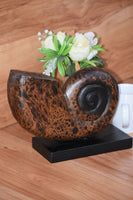 Decorative hand carved wooden shell on stand KingsWarehouse 
