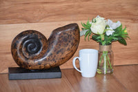 Decorative hand carved wooden shell on stand KingsWarehouse 