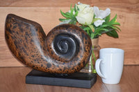 Decorative hand carved wooden shell on stand KingsWarehouse 