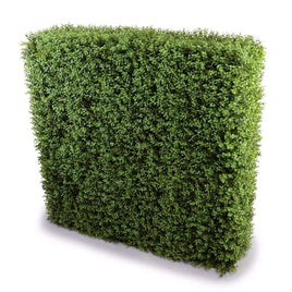 Deluxe Portable Buxus Hedges UV Stabilised 100cm Long X 100cm High Kings Warehouse 
