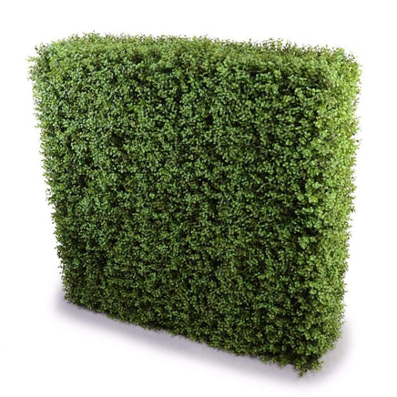 Deluxe Portable Buxus Hedges UV Stabilised 100cm Long X 100cm High Kings Warehouse 