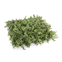 Deluxe Portable Buxus Hedges UV Stabilised 100cm Long X 55cm High Kings Warehouse 