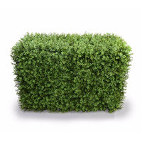 Deluxe Portable Buxus Hedges UV Stabilised 100cm Long X 55cm High Kings Warehouse 