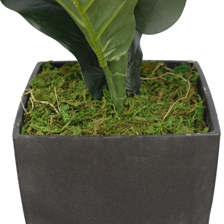 Dense Fiddle Leaf Fig Tree 70cm Home & Garden > Artificial Plants Kings Warehouse 