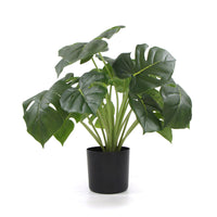 Dense Potted Artificial Split Philodendron Plant With Real Touch Leaves 50cm Kings Warehouse 