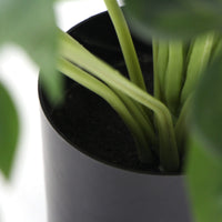 Dense Potted Artificial Split Philodendron Plant With Real Touch Leaves 50cm Kings Warehouse 