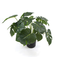 Dense Potted Artificial Split Philodendron Plant With Real Touch Leaves 50cm Kings Warehouse 