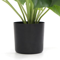 Dense Potted Artificial Split Philodendron Plant With Real Touch Leaves 50cm Kings Warehouse 