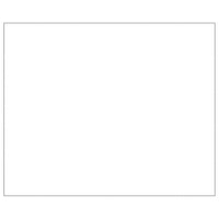 Dog Kennel Silver 30 m² Steel Kings Warehouse 