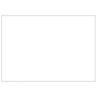 Dog Kennel Silver 35 m² Steel Kings Warehouse 