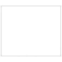 Dog Kennel Silver 42 m² Steel Kings Warehouse 