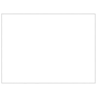 Dog Kennel Silver 48 m² Steel Kings Warehouse 