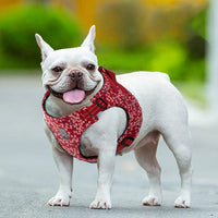 Doggy Harness Red 3XS Kings Warehouse 