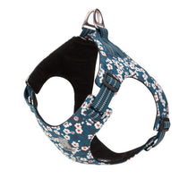 Doggy Harness Saxony Blue 2XS