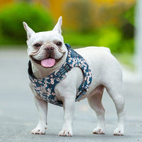 Doggy Harness Saxony Blue 3XS Kings Warehouse 