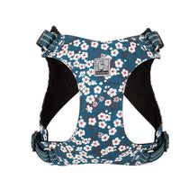 Doggy Harness Saxony Blue 3XS Kings Warehouse 