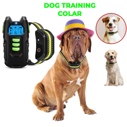Electric Pet Dog Training Anti Bark Collar Sound Vibrate Auto Rechargeable Kings Warehouse 