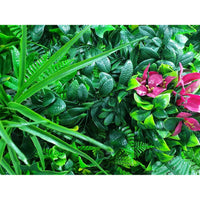 Elegant Red Rose Vertical Garden / Green Wall UV Resistant 100cm x 100cm Kings Warehouse 