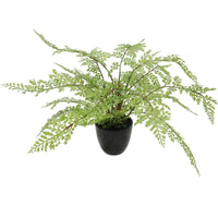 Faux Small Potted Fern 35cm Kings Warehouse 