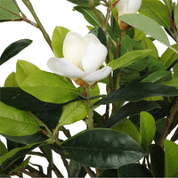Faux White Flowering Magnolia Tree with Pot 130cm Artificial Plants Kings Warehouse 