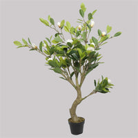Faux White Flowering Magnolia Tree with Pot 130cm Artificial Plants Kings Warehouse 