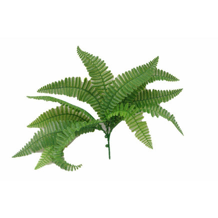 Fern Stem UV Kings Warehouse 