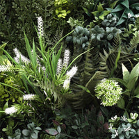 Flowering Bespoke Vertical Garden / Green Wall UV Resistant SAMPLE 45cm x 45cm Kings Warehouse 