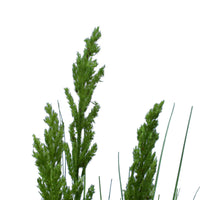 Flowering Native Grass 120 cm Home & Garden > Artificial Plants Kings Warehouse 