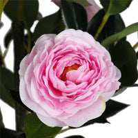 Flowering Pink Artificial Camellia Tree 180cm Decor Does not apply 