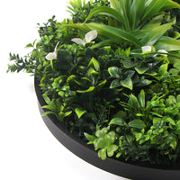 Flowering White Artificial Green Wall Disc UV Resistant 50cm (Black Frame) Kings Warehouse 