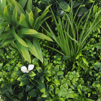 Flowering White Artificial Green Wall Disc UV Resistant 75cm (Black Frame) Kings Warehouse 